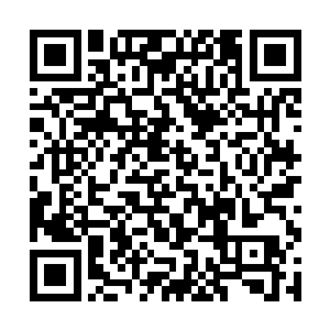 指挥部内的通信器传来防爆机动组组长林小舟的声音二维码生成