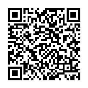 按理说以东方家主的实力这皮鞭最多是给他挠挠痒而已二维码生成