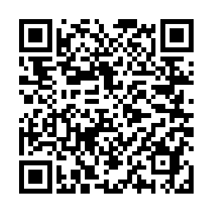按理说六童子对妖僧南波的封印应该会如铜墙铁壁一般二维码生成