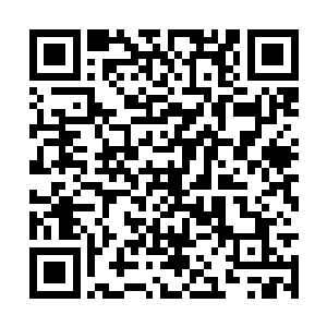 挑了一些进士文宝和几件实用的举人文宝留在其中二维码生成