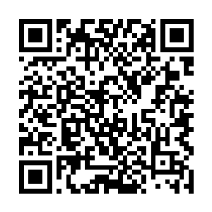 挑明了说罢…………我本来是想踩着西军过这一关的二维码生成