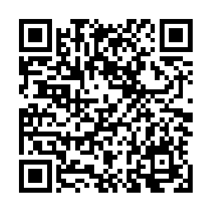 挟着凝聚在掌中的青色灵气狠狠的对着霍君白胸膛砍了过来二维码生成