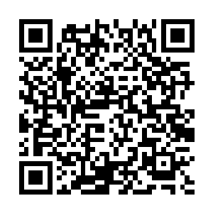 捂着心口窝和正在收拾地上污秽物的屈磊明晃晃地告状二维码生成