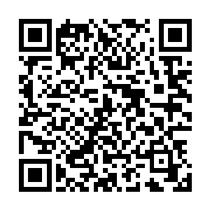 捂着被断了手中经脉的公子邑在重新修复经脉前再不能御剑二维码生成
