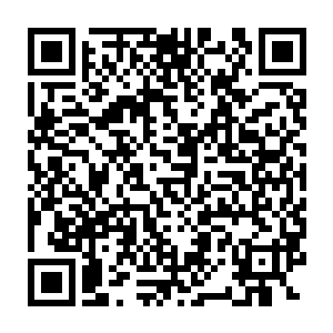 损失惨重的魔化海兽已经根本不可能击破库拉斯特海港的城防禁制二维码生成