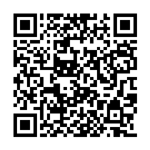 捡了起来对准壮汉的脑袋做了一个往下砸的动作二维码生成