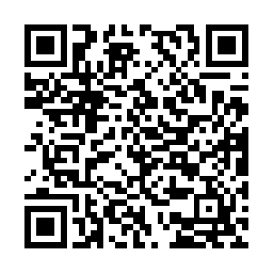 据我所知陆海集团早已有意进入我们昌江建设市场二维码生成