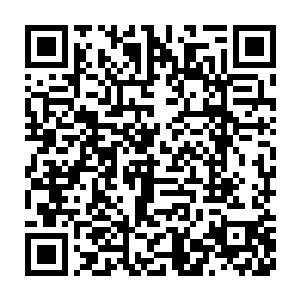 据是当初围攻神王强者的天帝被神王强者以某种手段给硬生生的炼化了二维码生成