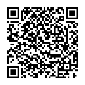 据说一直在劝阻学院的评委不要将最佳导演的票投给你喜欢的那位导演二维码生成