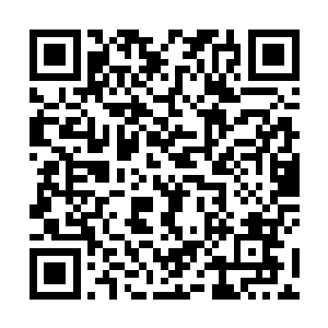 据说他们曾经当过拉斯维加斯那场世界最大赌局的裁判二维码生成