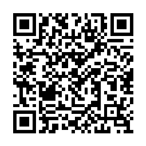 据说夜晚的时候抬头就可以看到一尘不染的天空二维码生成