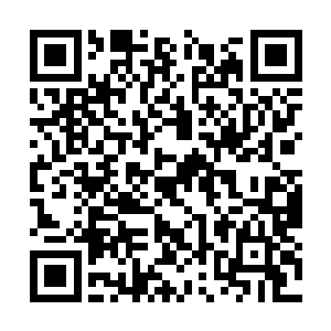 据说这里在几十年前曾属于某个烜赫一时的大毒枭二维码生成