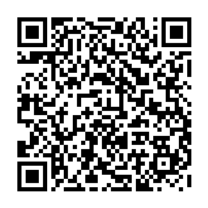掌握了创世神雷的寅虎在这一击中的力量几乎已经不逊于当年处于巅峰状态二维码生成