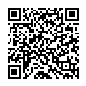 探测灵力的家伙也已经在刚刚的战斗中丢失无从测起二维码生成