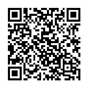 接下来仍有人上台不断的将自己带来的东西进行拍卖二维码生成