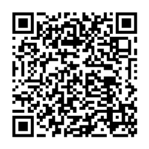 接下来就是每一位筑基期的修士必须完成的师门任务和内门任务了二维码生成