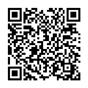 接下来应该会出现一个修真文明爆发式发展的黄金盛世二维码生成