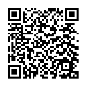 接下来整个吉隆坡几家公司企业的安保工作就全面交给你来做二维码生成