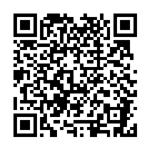 接下来的九件拍卖品许紫烟七个人没有一个人出手二维码生成