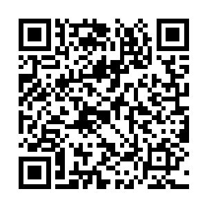 接受的各种的观念和各种学习筑成的本有的世界观二维码生成