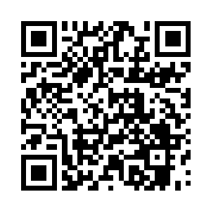 接受着大道之门内法理金芒的洋洋洒落二维码生成