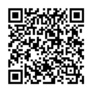 接着将目光移到了远处那大荒城中的九叔等人身上二维码生成