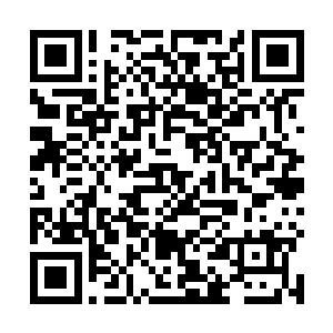 接着就以惊人的速度把唐天手上的那张饼吃得干干净净二维码生成