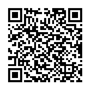 接着身形一纵就跳到光头强驾驶的装载机驾驶楼顶上二维码生成