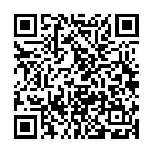 接着那坚固的擂台表面竟是被腐朽出了一个个密密麻麻的坑洞二维码生成