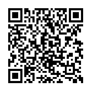 控制着每一丝脉力在自己的脚下产生巨大的力量二维码生成