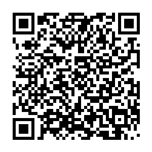 提供给那些热恋中的大学生们在这里互相探讨彼此的身体构造用的二维码生成