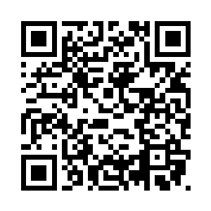 提包里面是分解成三大部分的hk416二维码生成