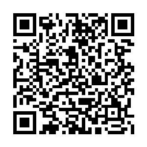 提着王者之兵也冲了上去和战争巨兽大战在一起二维码生成