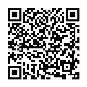 搞成中国煽情比惨重生再造大会……但每一期提前宣传的时候二维码生成