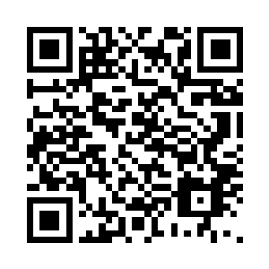 搭乘专机的岛国使者和西方经国使者二维码生成