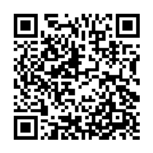 摸到药丸时不由得分心的想到现在不知道怎么样的凌菲二维码生成