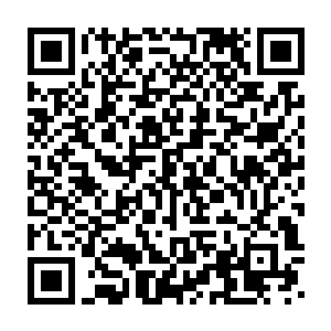 放在他们那里的两个孩子年岁够了之后也不会在参加你这个夏令营的二维码生成
