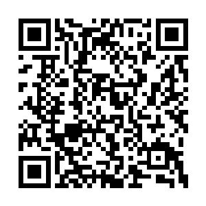 放生汇聚起来的感恩的能量就是一种强大的祝福二维码生成