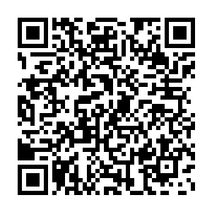 放老人家在国外言语不通精神紧张走马观花各种不适应各种闹笑话二维码生成