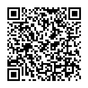 放送的时候也叫众人知道金在珉的确是一点都不紧张自己店生意如何二维码生成