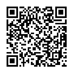 故意窝藏罪犯或为其指引道路及提供衣食住行方便者二维码生成