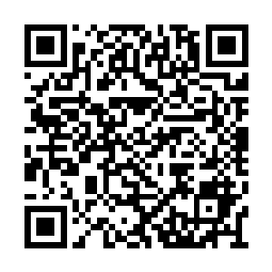 敖厉等人就已经感到了一股大难临头的莫大危险二维码生成