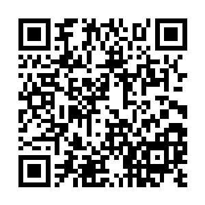 敖月月那一副嫌弃炼心塔的六通不如自己家的时候二维码生成