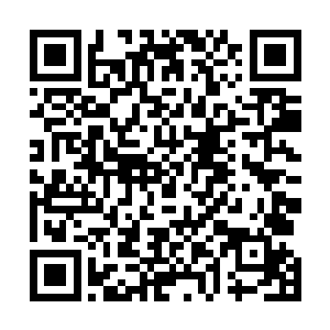 教授他们战斗的技巧和让他们的实力来了一个大大的提升二维码生成