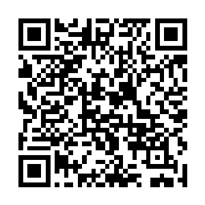 教皇此时正在梵蒂冈圣彼得教堂附近的一栋房子里面二维码生成