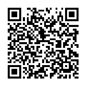 散发出无尽诱惑的女子也忽然拦在了熊孩子的面前二维码生成