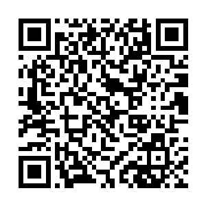 数以亿万计的修真者和叛变的修魔者在这里展开激战二维码生成