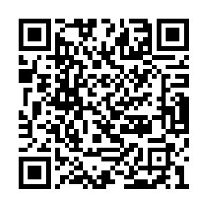 数以千百计的血鸟就这样一起朝着四面八方飞去二维码生成