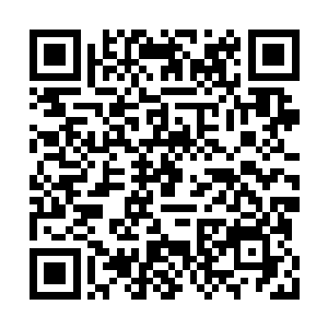 数十万年的岁月并未让这一片地势发生多少变化二维码生成