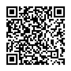 数百万精锐大军在巨大的荒原之上展开了一场极为残酷的厮杀二维码生成